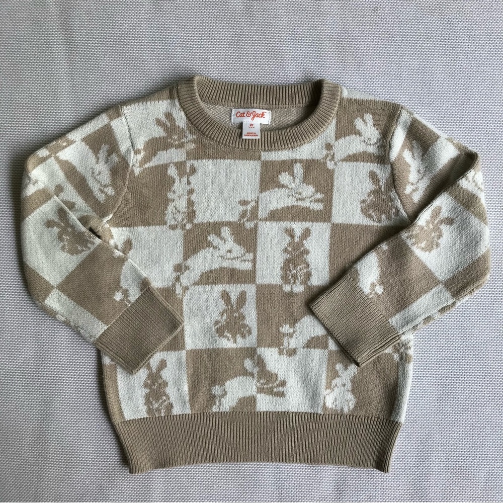 Bunny Sweater 2T